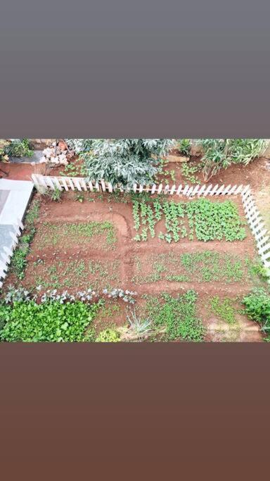 Saifarms Private Farmhouse Between Pune & Lonavala Nethersole Dam Bagian luar foto
