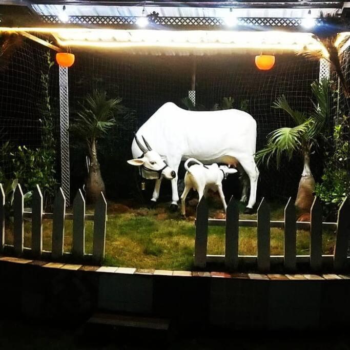 Saifarms Private Farmhouse Between Pune & Lonavala Nethersole Dam Bagian luar foto
