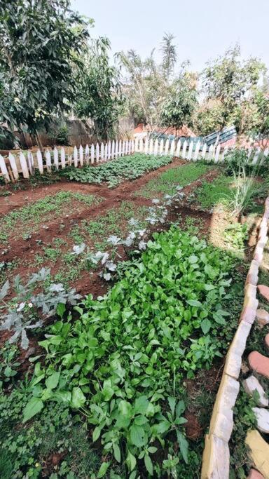 Saifarms Private Farmhouse Between Pune & Lonavala Nethersole Dam Bagian luar foto