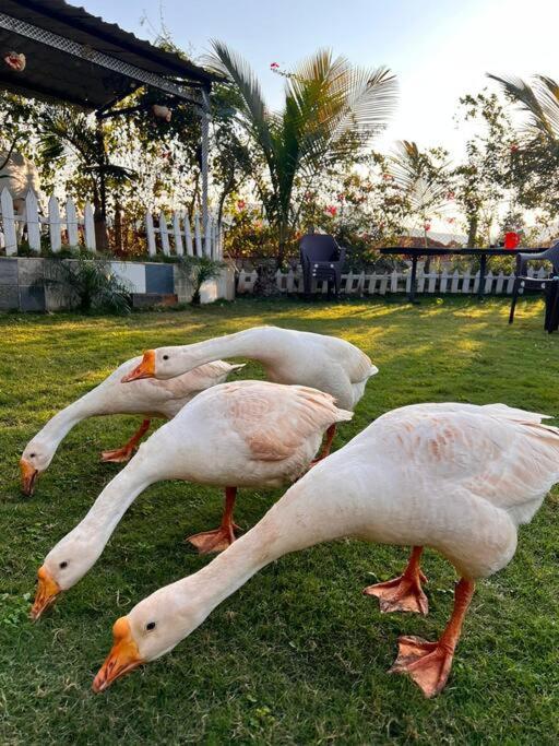 Saifarms Private Farmhouse Between Pune & Lonavala Nethersole Dam Bagian luar foto