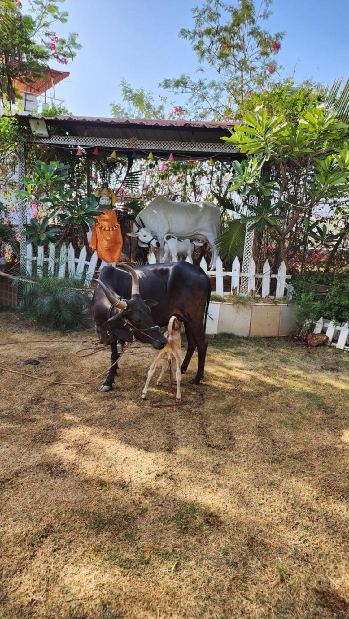Saifarms Private Farmhouse Between Pune & Lonavala Nethersole Dam Bagian luar foto